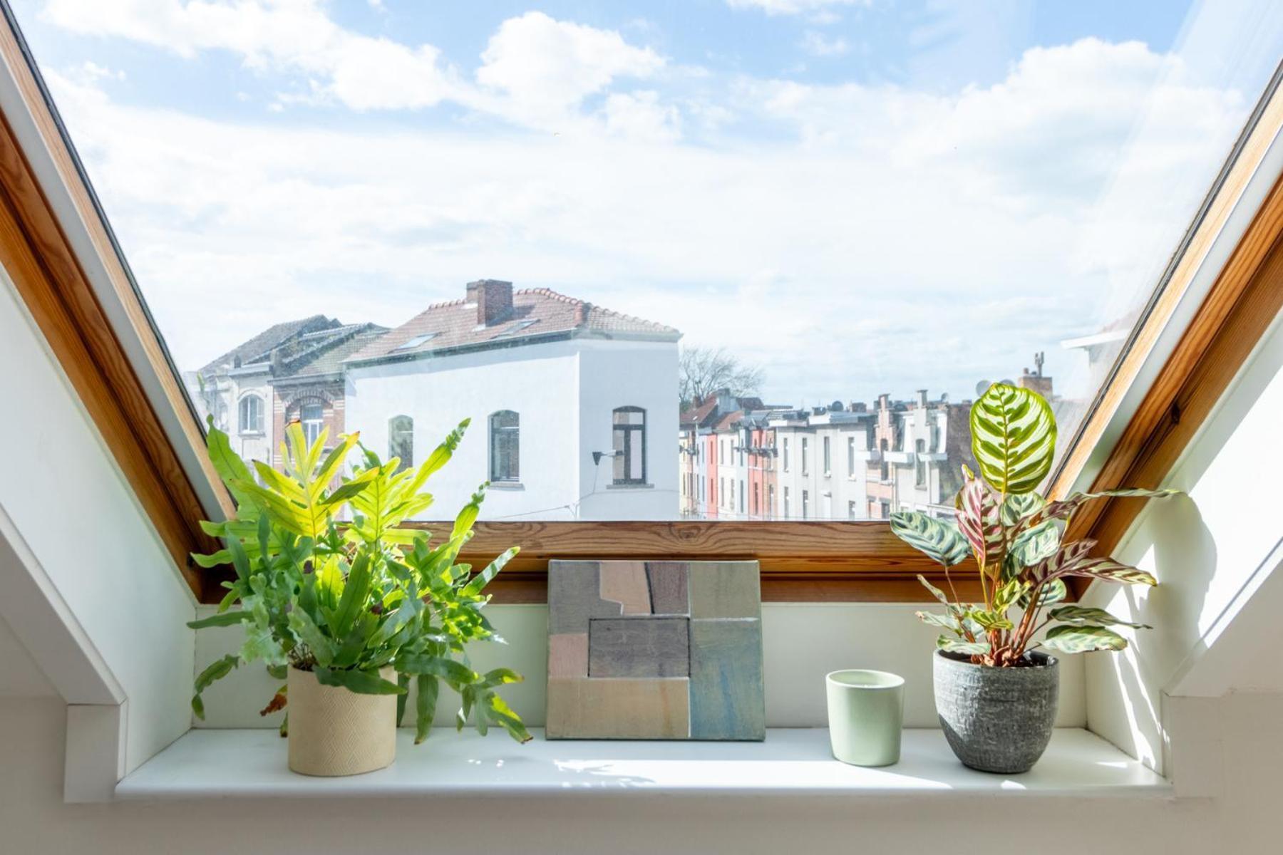 Guesthouse Private Studio Nearby Old Town Gent Eksteriør billede